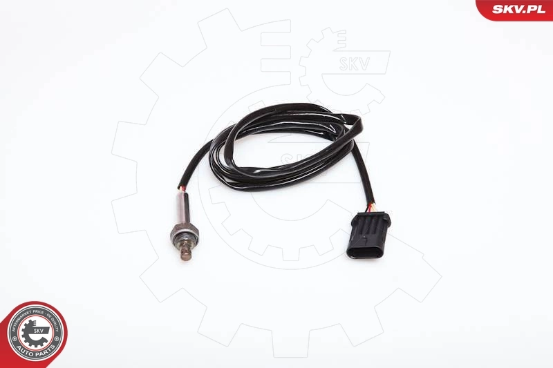 Oxygen Sensor